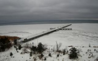 Jurata Molo - 29-01-2026 11:29