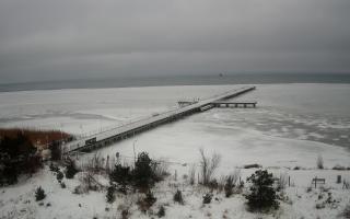 Jurata Molo - 30-01-2026 06:49