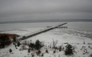 Jurata Molo - 30-01-2026 06:54