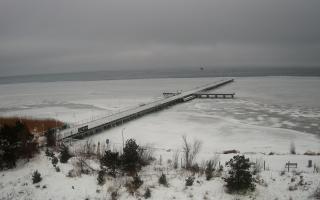 Jurata Molo - 30-01-2026 07:00