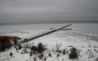 Jurata Molo - 30-01-2026 07:05