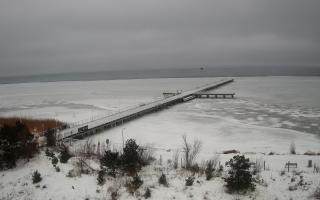 Jurata Molo - 30-01-2026 07:10