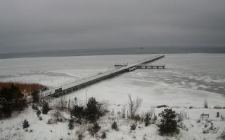 Jurata Molo - 30-01-2026 07:16