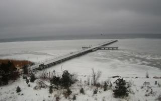 Jurata Molo - 30-01-2026 07:21