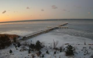 Jurata Molo - 01-02-2026 06:08