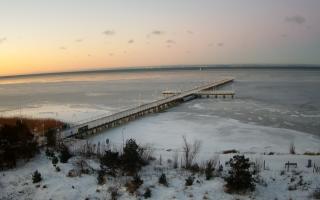 Jurata Molo - 01-02-2026 06:14