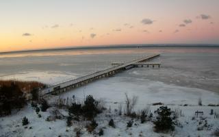 Jurata Molo - 01-02-2026 06:24