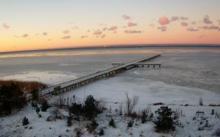 Jurata Molo - 01-02-2026 06:35