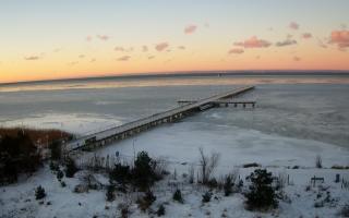 Jurata Molo - 01-02-2026 06:41