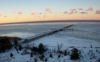 Jurata Molo - 01-02-2026 06:46