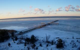 Jurata Molo - 01-02-2026 07:02