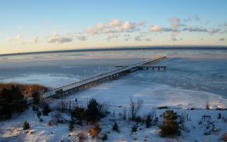 Jurata Molo - 01-02-2026 07:18