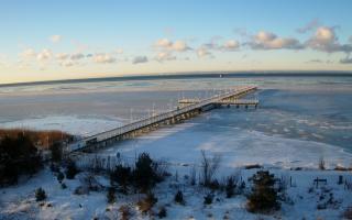 Jurata Molo - 01-02-2026 07:24