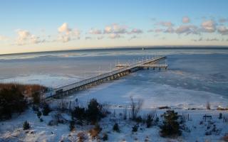 Jurata Molo - 01-02-2026 07:29