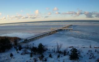 Jurata Molo - 01-02-2026 07:34