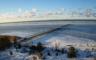 Jurata Molo - 01-02-2026 07:45