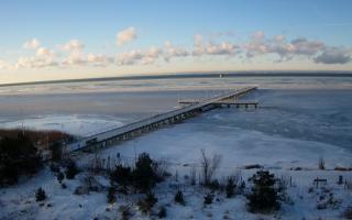 Jurata Molo - 01-02-2026 07:50