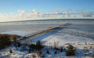 Jurata Molo - 01-02-2026 07:56