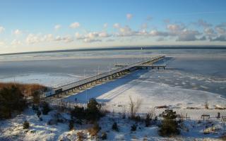 Jurata Molo - 01-02-2026 08:01