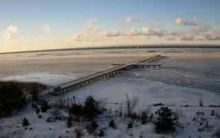 Jurata Molo - 01-02-2026 08:06