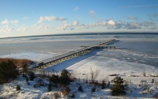 Jurata Molo - 01-02-2026 08:12