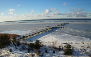 Jurata Molo - 01-02-2026 08:17