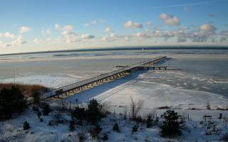 Jurata Molo - 01-02-2026 08:23