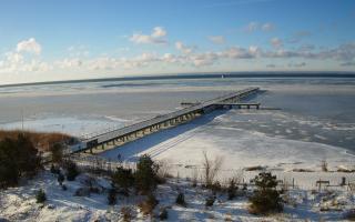 Jurata Molo - 01-02-2026 08:33