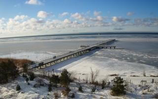 Jurata Molo - 01-02-2026 08:49