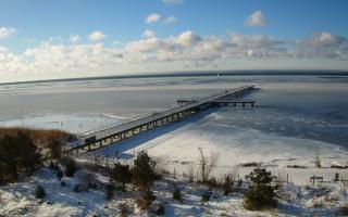 Jurata Molo - 01-02-2026 09:00