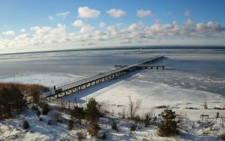 Jurata Molo - 01-02-2026 09:06