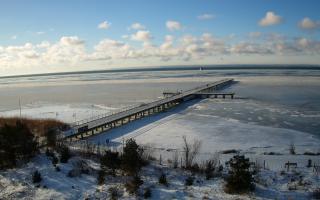 Jurata Molo - 01-02-2026 09:11