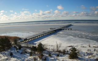 Jurata Molo - 01-02-2026 09:16