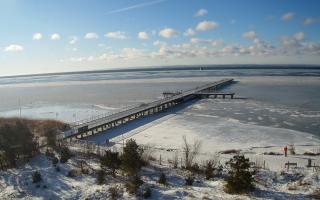 Jurata Molo - 01-02-2026 09:38