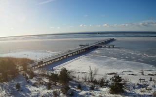 Jurata Molo - 01-02-2026 09:49