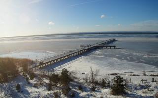 Jurata Molo - 01-02-2026 09:54