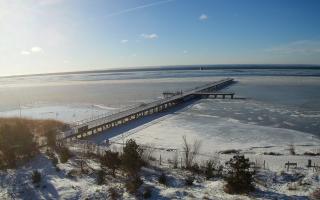 Jurata Molo - 01-02-2026 09:59