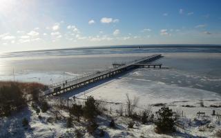 Jurata Molo - 01-02-2026 10:37