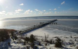 Jurata Molo - 01-02-2026 10:42