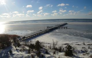 Jurata Molo - 01-02-2026 10:53