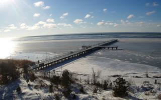 Jurata Molo - 01-02-2026 11:04