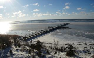 Jurata Molo - 01-02-2026 11:09