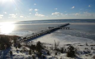 Jurata Molo - 01-02-2026 11:20