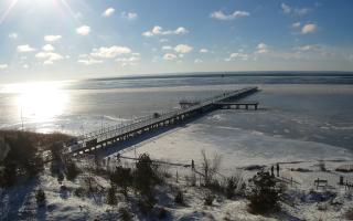 Jurata Molo - 01-02-2026 11:31