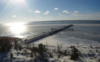 Jurata Molo - 01-02-2026 11:47