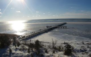 Jurata Molo - 01-02-2026 11:52