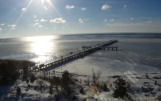 Jurata Molo - 01-02-2026 12:08