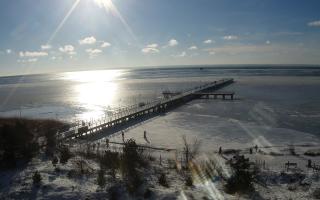 Jurata Molo - 01-02-2026 12:19