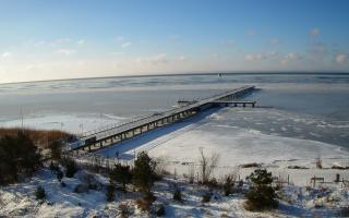 Jurata Molo - 02-02-2026 08:55