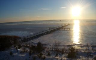 Jurata Molo - 02-02-2026 14:39